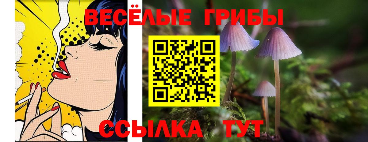 Псилоцибиновые грибы прущие грибы Астрахань